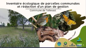 Biodiversité