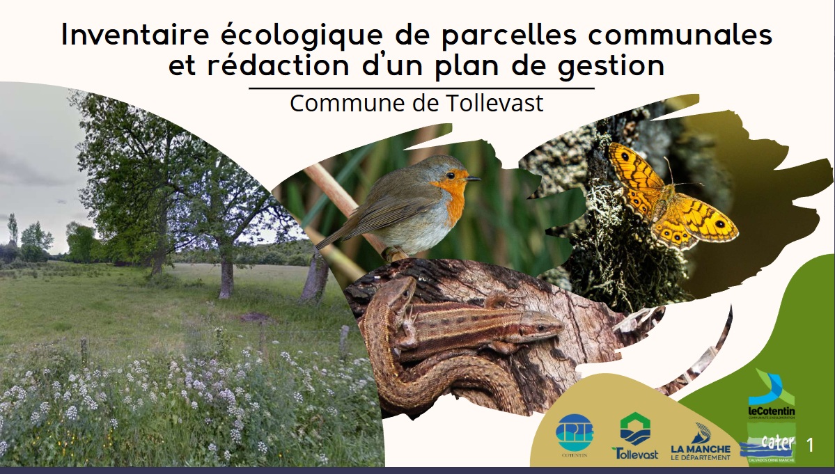 Biodiversité
