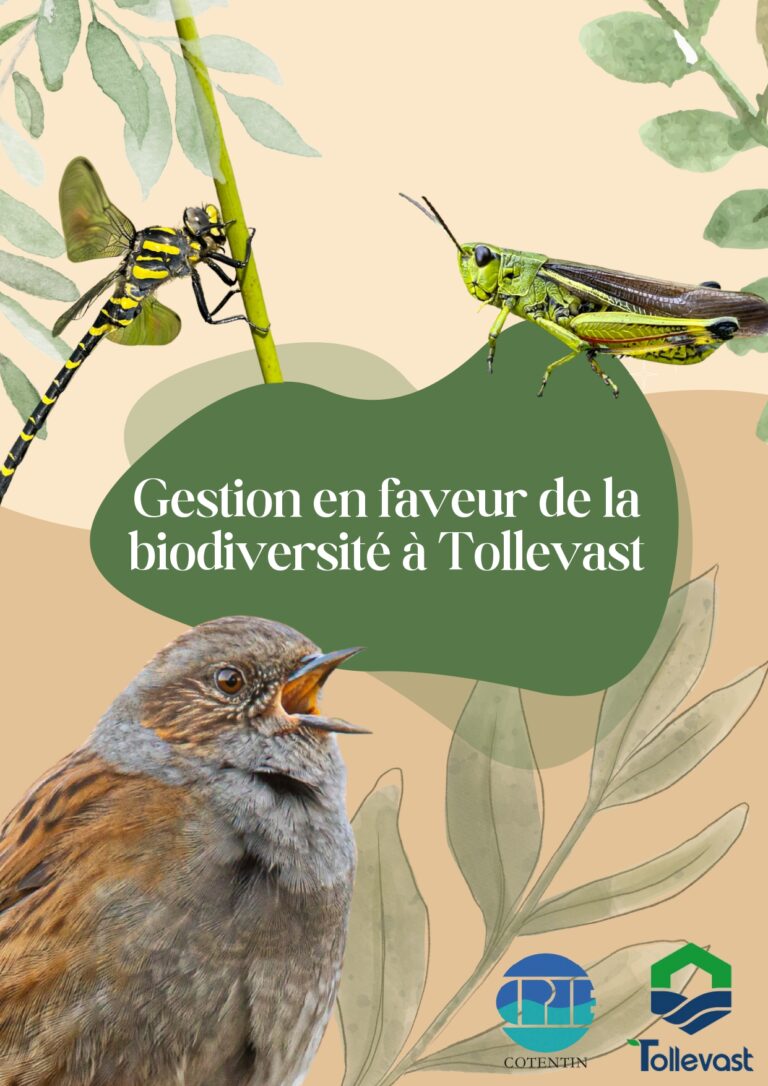 Plaquette communication Plan de gestion Tollevast_page-0001