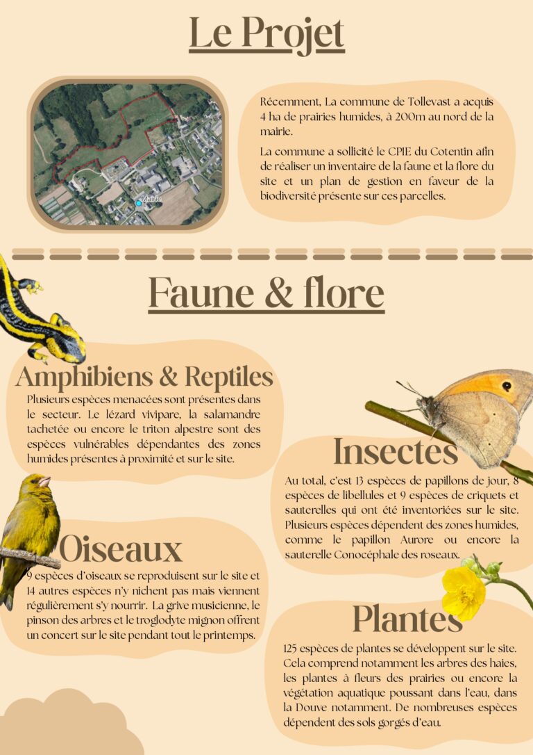 Plaquette communication Plan de gestion Tollevast_page-0002