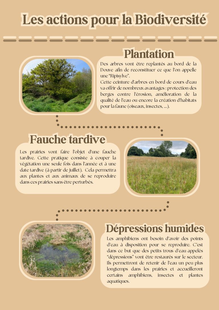 Plaquette communication Plan de gestion Tollevast_page-0003