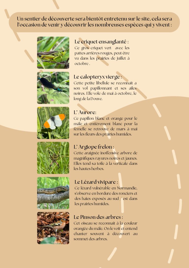 Plaquette communication Plan de gestion Tollevast_page-0004